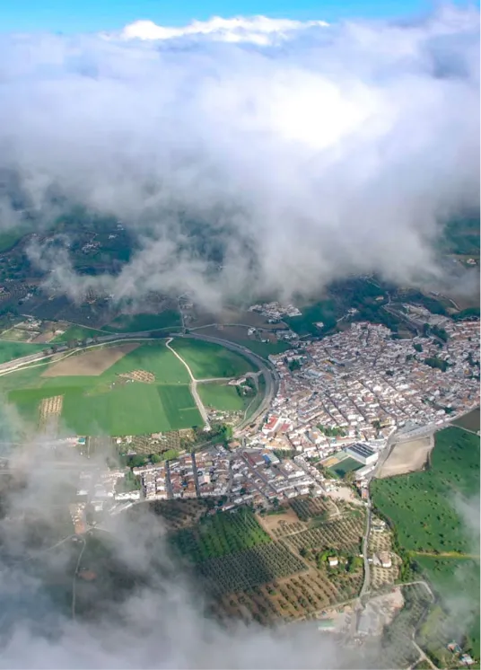 Vista aérea de Arriate